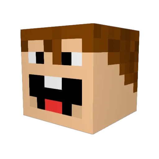 randyfan Minecraft avatar head, 3D render