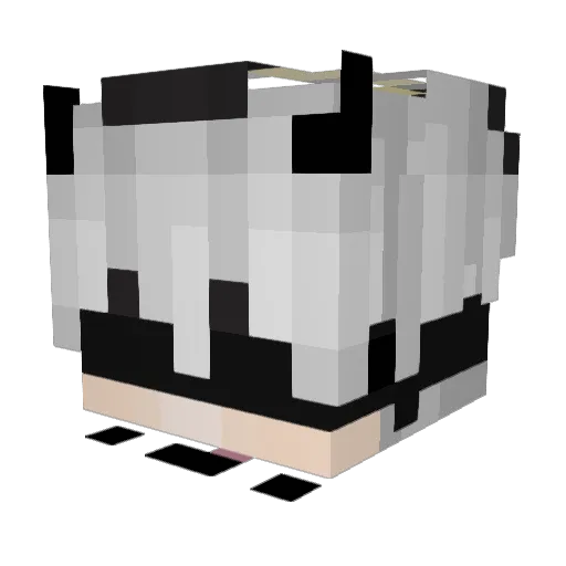 randykatt5 Minecraft avatar head, 3D render