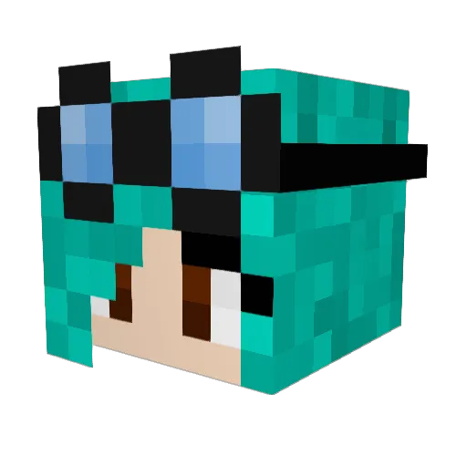 ranebow1643 Minecraft avatar head, 3D render