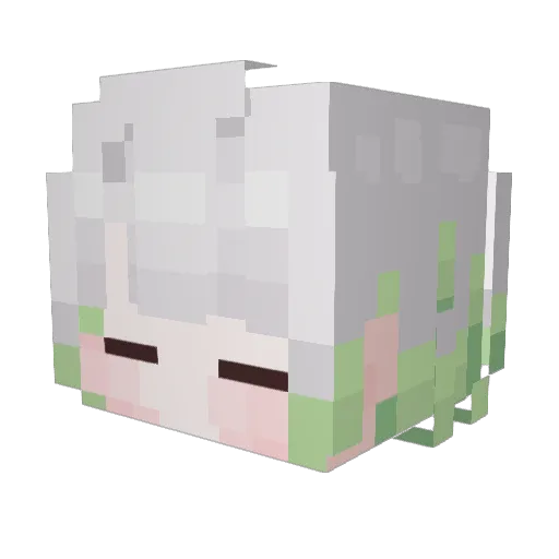 rang030 Minecraft avatar head, 3D render