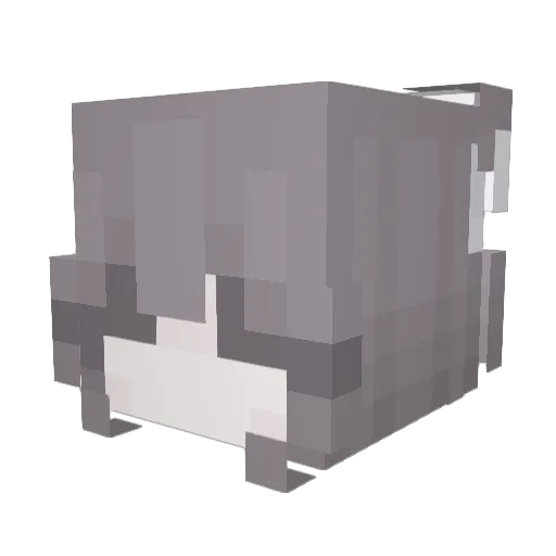 rang6874 Minecraft avatar head, 3D render