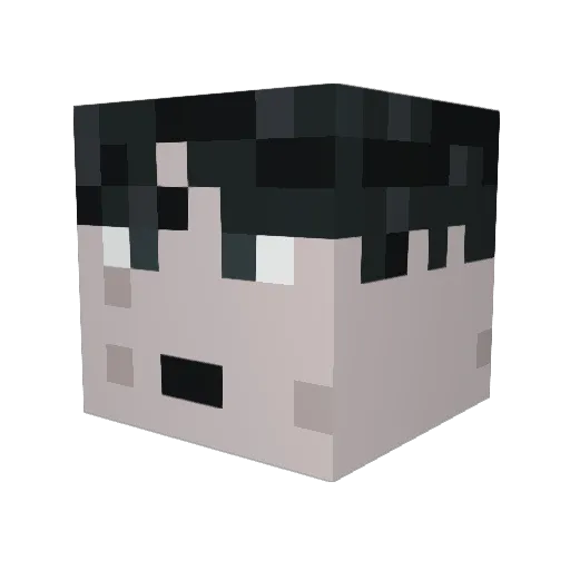 ranga445 Minecraft avatar head, 3D render