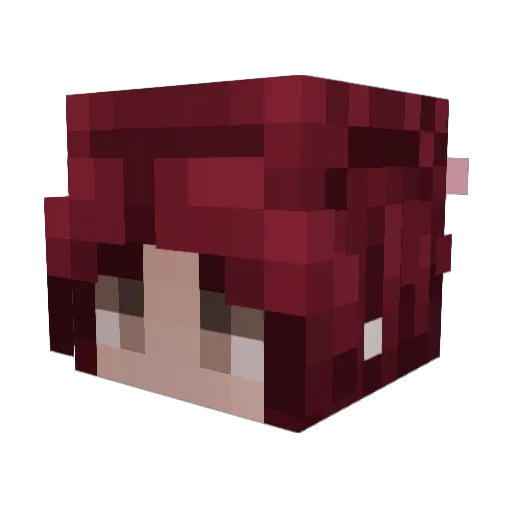 ranga_banger Minecraft avatar head, 3D render
