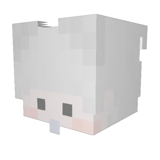 rangx_o Minecraft avatar head, 3D render