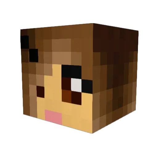 rani345 Minecraft avatar head, 3D render