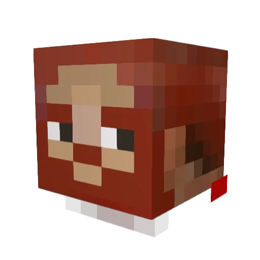 ranid007 Minecraft avatar head, 3D render
