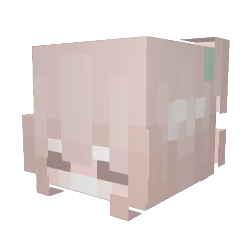 ranitamry Minecraft avatar head, 3D render