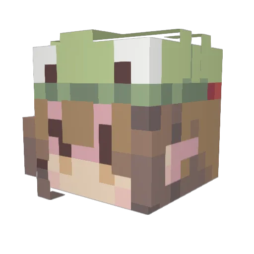 ranix14 Minecraft avatar head, 3D render