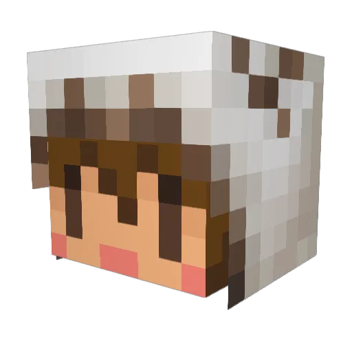ranma207 Minecraft avatar head, 3D render