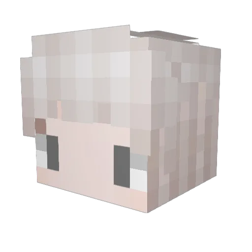 ranmooo Minecraft avatar head, 3D render