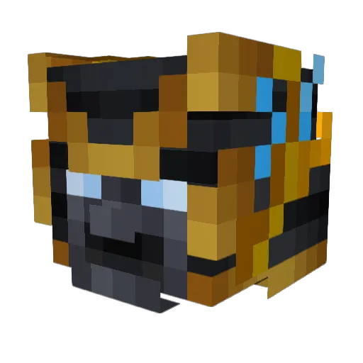 rannaiscool Minecraft avatar head, 3D render