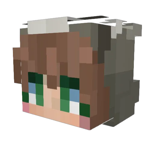 ranpo69 Minecraft avatar head, 3D render