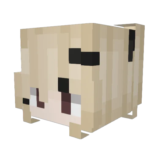 rantka Minecraft avatar head, 3D render