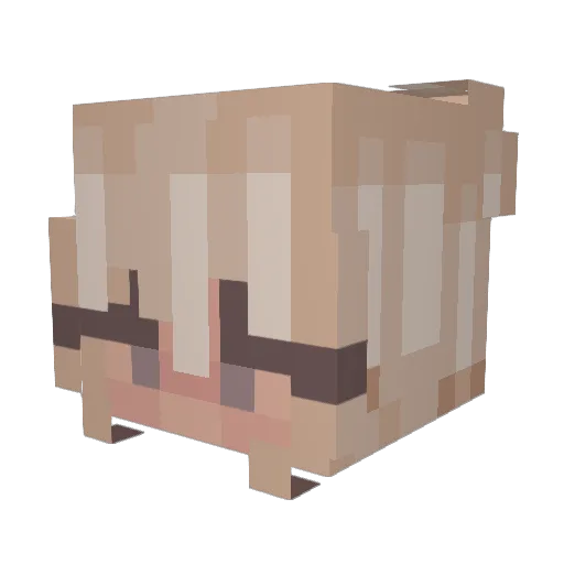 ranumese Minecraft avatar head, 3D render