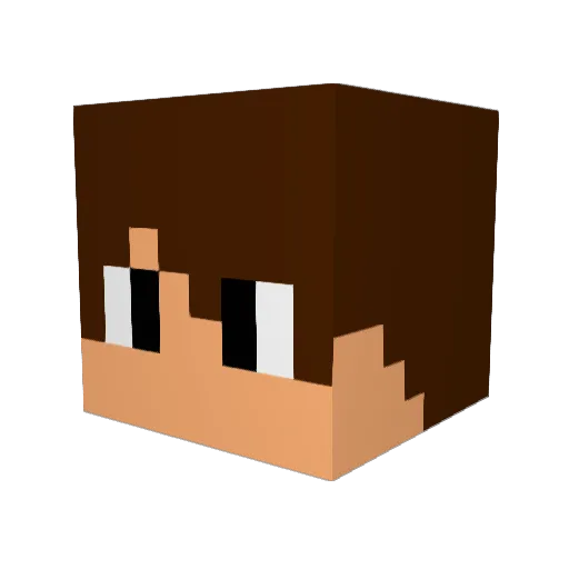 ranz1020 Minecraft avatar head, 3D render
