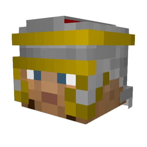 rapand450 Minecraft avatar head, 3D render