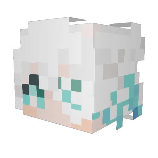 rapararara Minecraft avatar head, 3D render