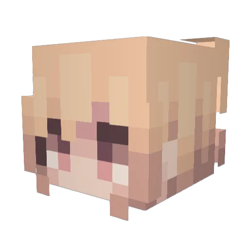 raphapoumpoulout Minecraft avatar head, 3D render