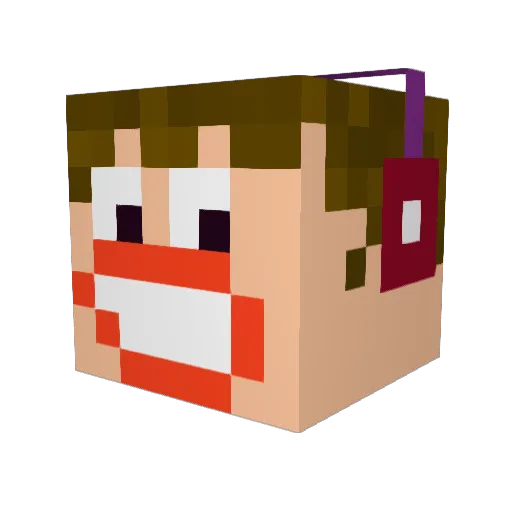 raphounette Minecraft avatar head, 3D render