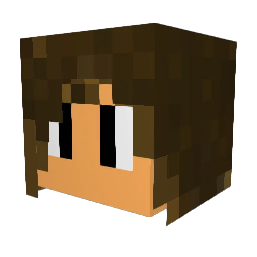 rapido84 Minecraft avatar head, 3D render