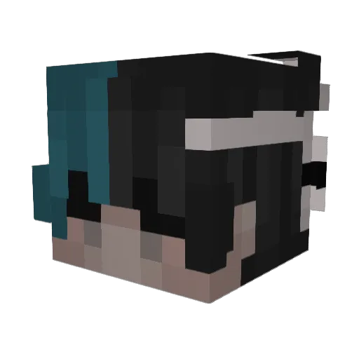 rapids31 Minecraft avatar head, 3D render