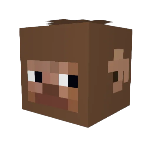 raplaajahc Minecraft avatar head, 3D render