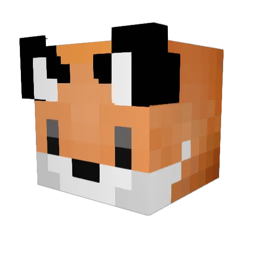 raposo140 Minecraft avatar head, 3D render