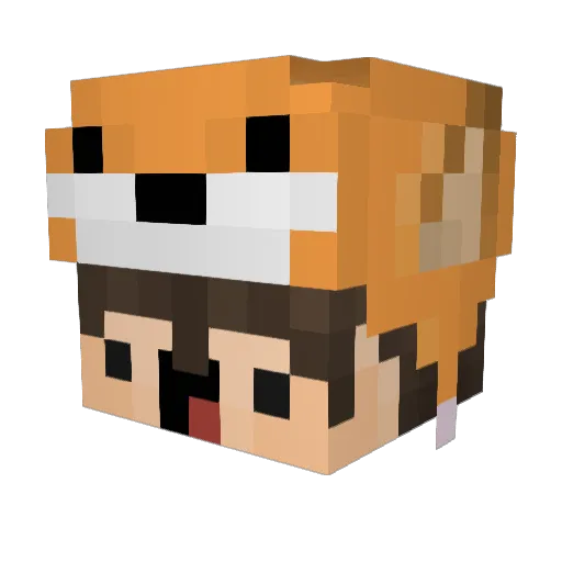 rapozillha Minecraft avatar head, 3D render