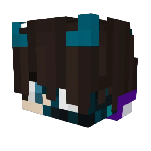 rapozinhagamerb Minecraft avatar head, 3D render