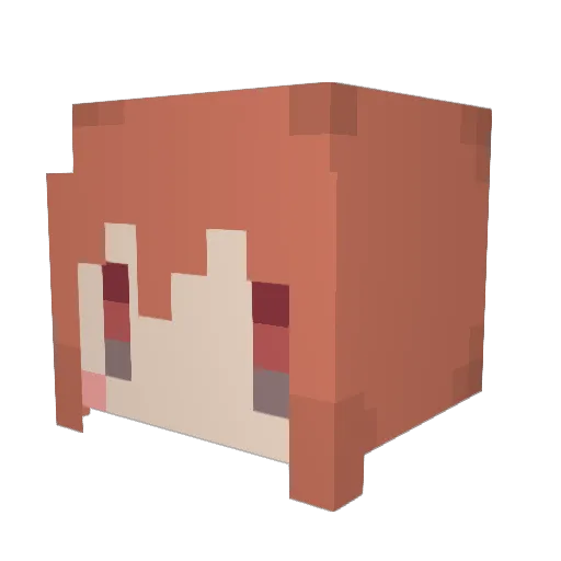 rappyzero Minecraft avatar head, 3D render