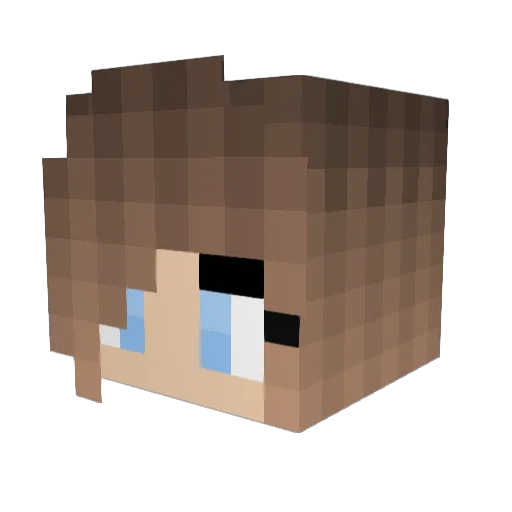 raptor678 Minecraft avatar head, 3D render