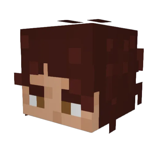 raptor9814 Minecraft avatar head, 3D render