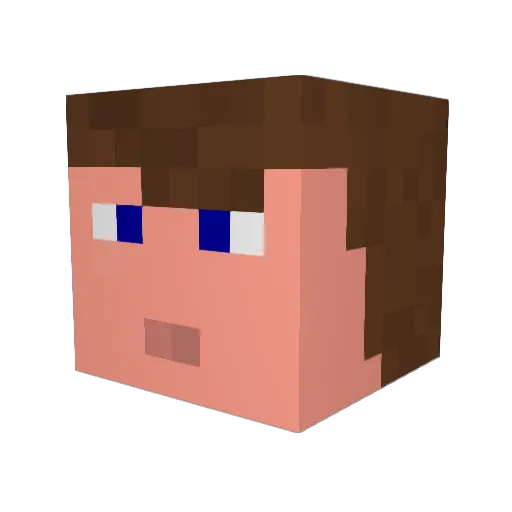raptorbrady Minecraft avatar head, 3D render