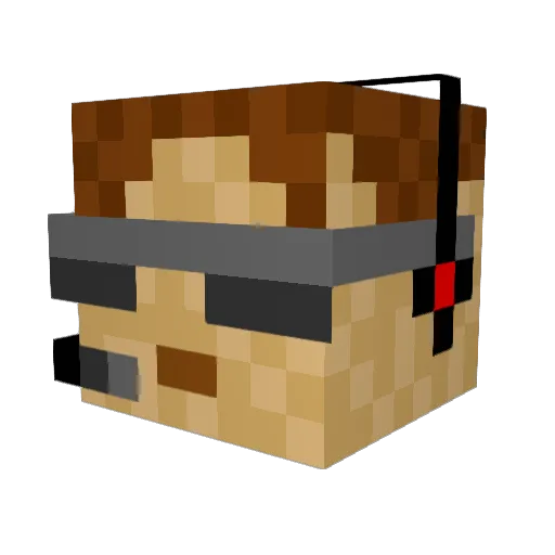 raptorx81 Minecraft avatar head, 3D render
