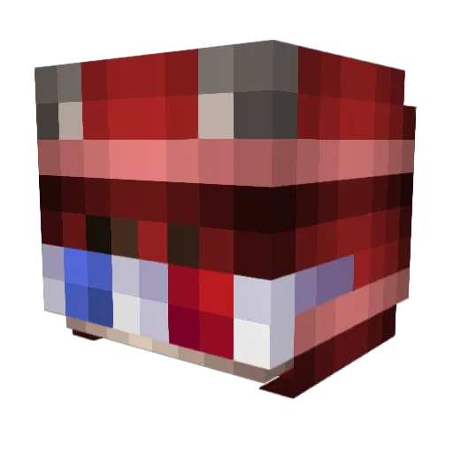 raqemode_e Minecraft avatar head, 3D render