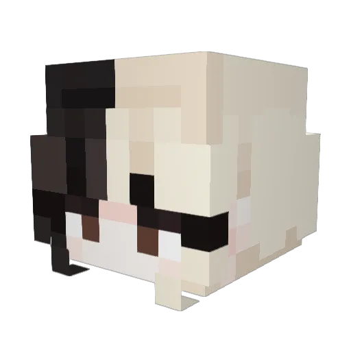 raracmo Minecraft avatar head, 3D render