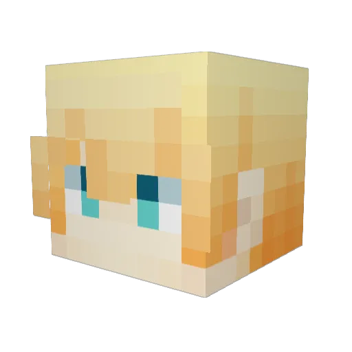 raracy Minecraft avatar head, 3D render