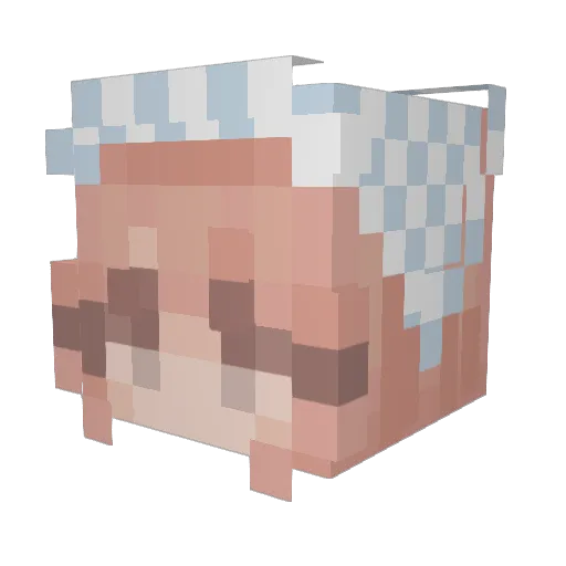 rarafara Minecraft avatar head, 3D render
