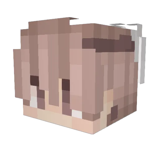raresuperkun64 Minecraft avatar head, 3D render