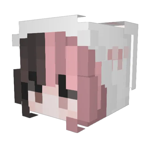 rarityRare Minecraft avatar head, 3D render
