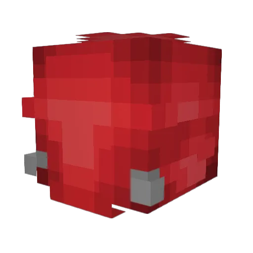 raronbobertson Minecraft avatar head, 3D render