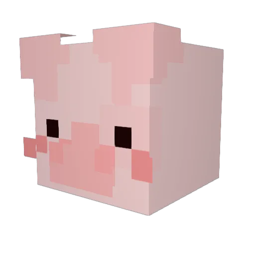 rasberrie Minecraft avatar head, 3D render