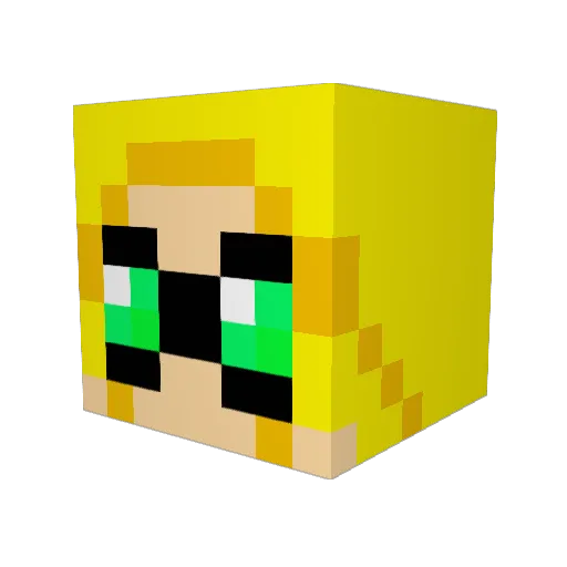 rascalmom19 Minecraft avatar head, 3D render