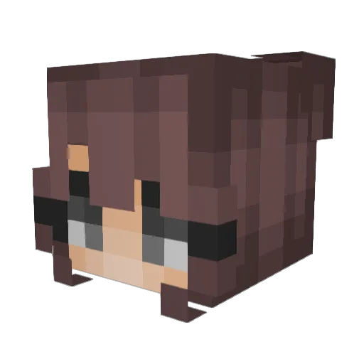 rase_me Minecraft avatar head, 3D render