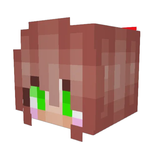 rashpegasus190 Minecraft avatar head, 3D render