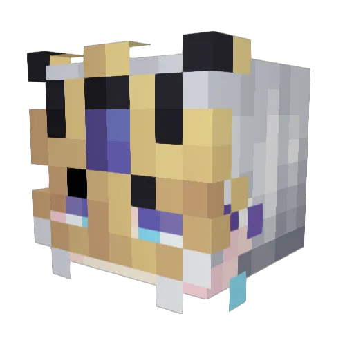 raskeeee Minecraft avatar head, 3D render