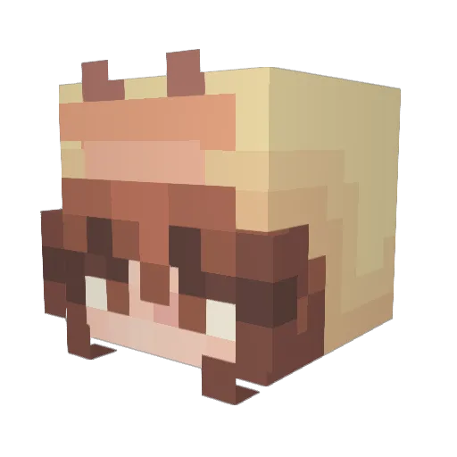 rasna123 Minecraft avatar head, 3D render