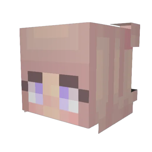 rasoru Minecraft avatar head, 3D render