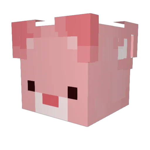 raspberry_cloudz Minecraft avatar head, 3D render