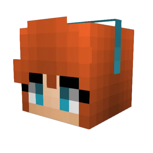 raspburryb Minecraft avatar head, 3D render